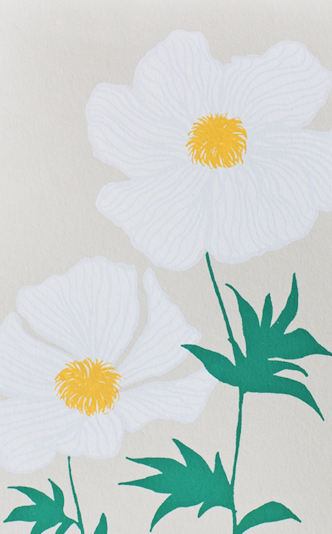 POPPY GREETING CARD