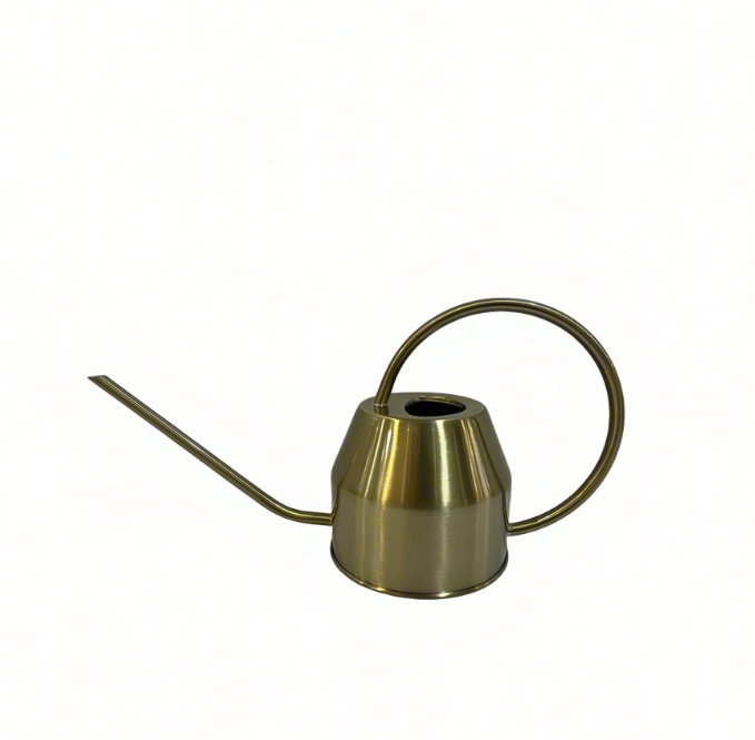 1L Gold Stainless Steel Watering Can – Long Spout Design