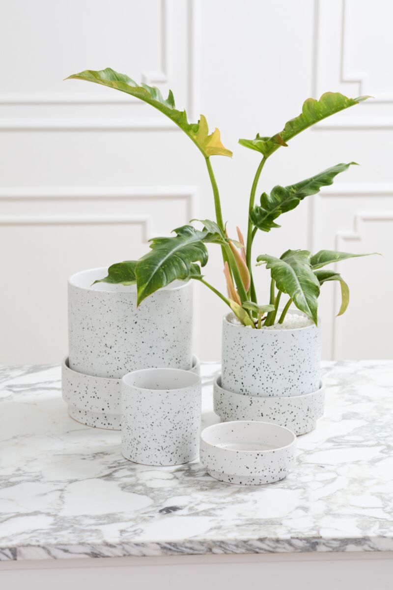 Claxton Pot with Saucer