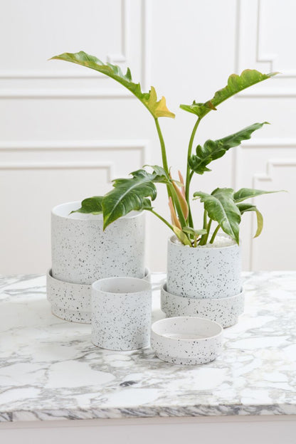 Claxton Pot with Saucer