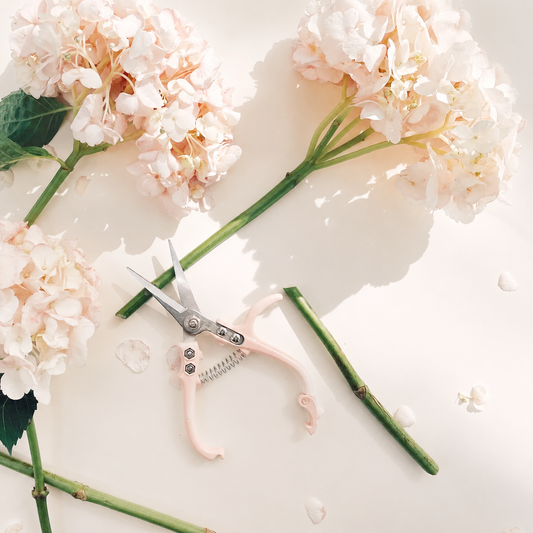Pruning Shears | Vanilla